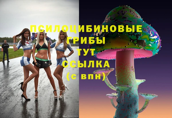 гидра Волосово