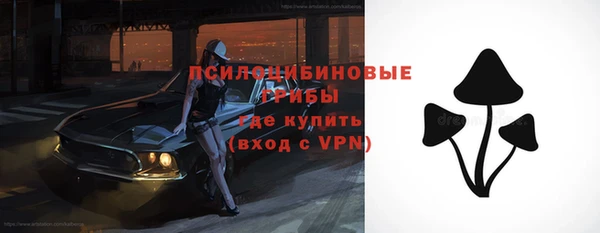 ешки Володарск