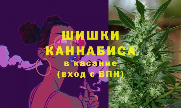 ешки Володарск
