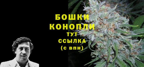 гидра Волосово