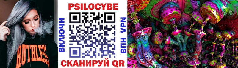 Псилоцибиновые грибы Magic Shrooms  Купить  Краснознаменск 